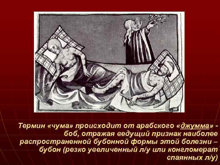 Термин «чума» происходит от арабского «джумма» боб, отражая ведущий признак наиболее распространенной бубонной формы