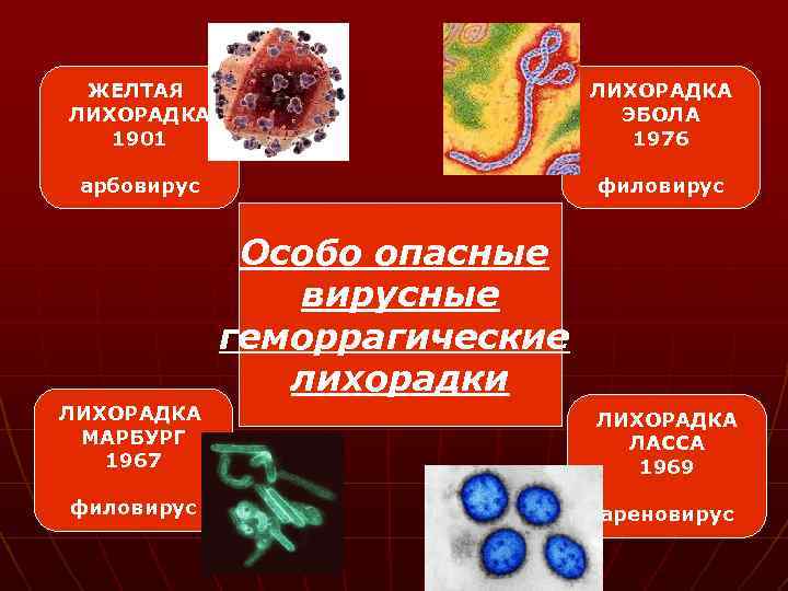 Особые инфекции