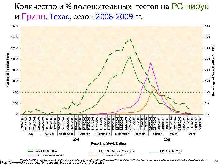 Количество и % положительных тестов на РС-вирус и Грипп, Техас, сезон 2008 -2009 гг.