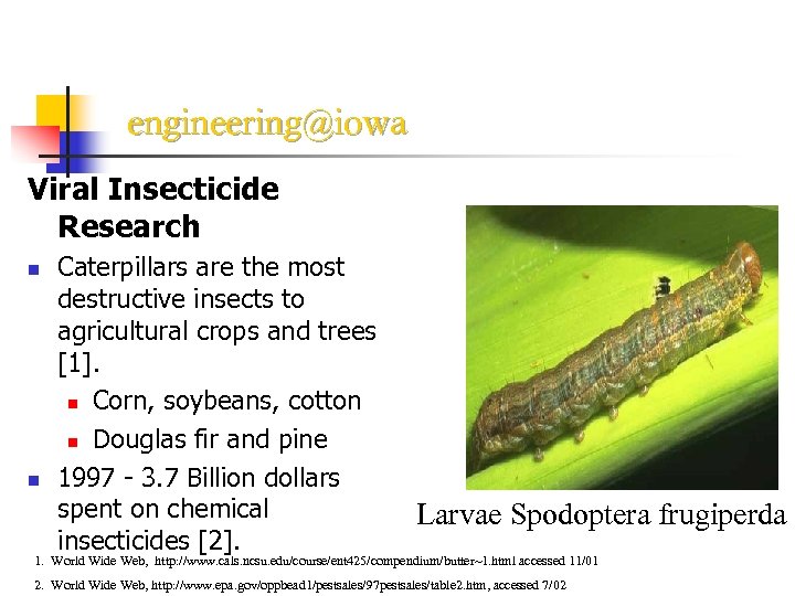 engineering@iowa Viral Insecticide Research n n Caterpillars are the most destructive insects to agricultural
