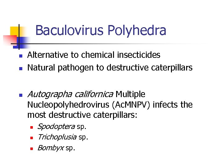Baculovirus Polyhedra n Alternative to chemical insecticides Natural pathogen to destructive caterpillars n Autographa