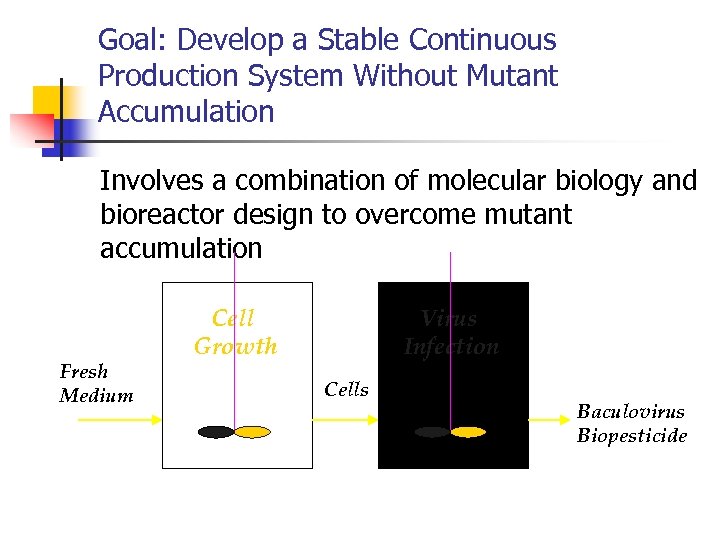 Goal: Develop a Stable Continuous Production System Without Mutant Accumulation Involves a combination of