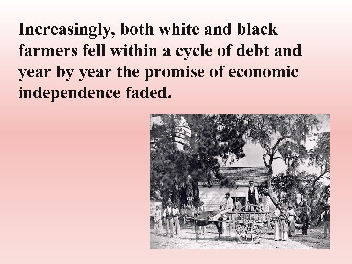 Increasingly, both white and black farmers fell within a cycle of debt and year