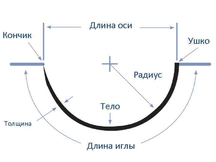 Кончик Длина оси Ушко Радиус Тело Толщина Длина иглы 