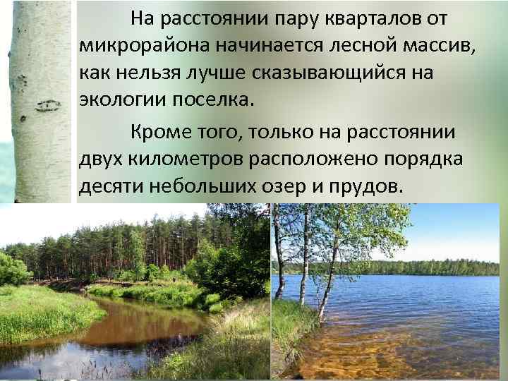 На расстоянии пару кварталов от микрорайона начинается лесной массив, как нельзя лучше сказывающийся на