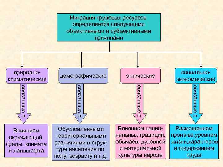 Этническая демографическая территориальная