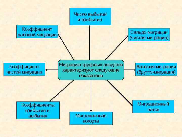 Формы международной трудовой миграции