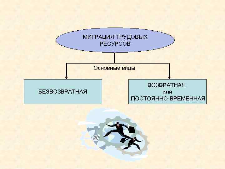 Виды миграции картинки