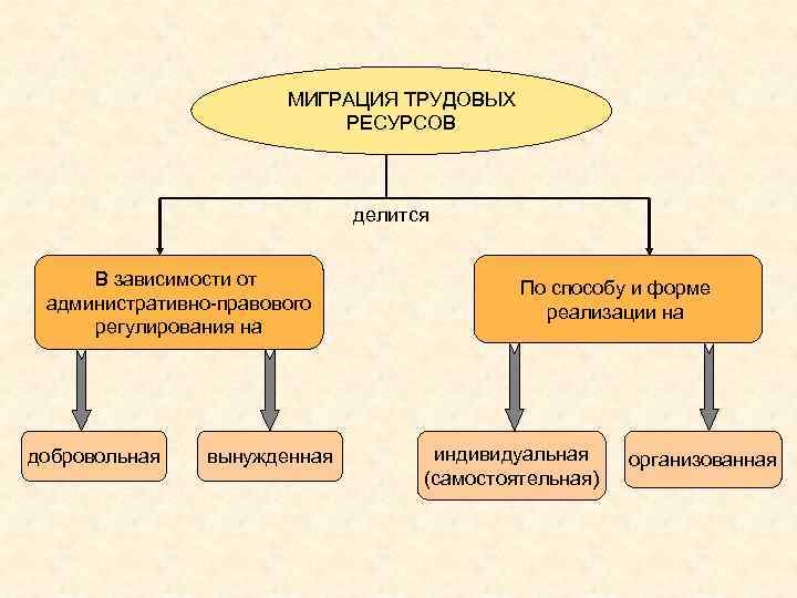 Международная миграция трудовых ресурсов презентация