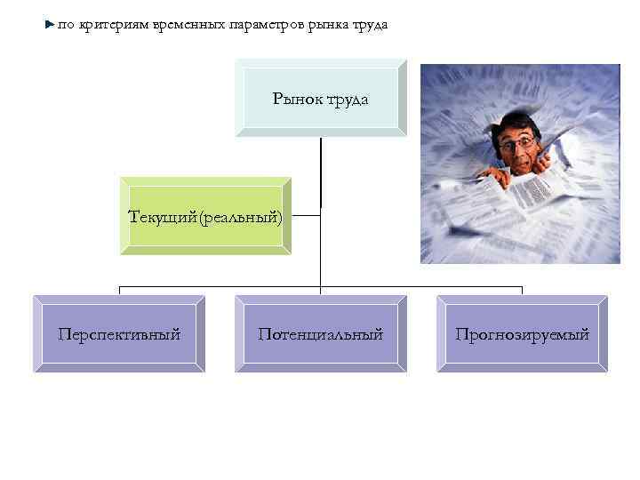 по критериям временных параметров рынка труда Рынок труда Текущий(реальный) Перспективный Потенциальный Прогнозируемый 