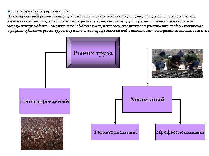по критерию интегрированности Интегрированный рынок труда следует понимать не как механическую сумму специализированных рынков,