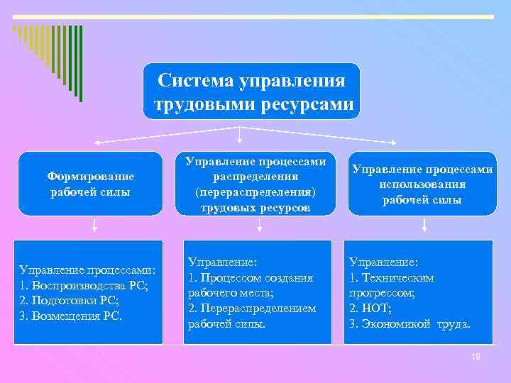 Формирование трудовых