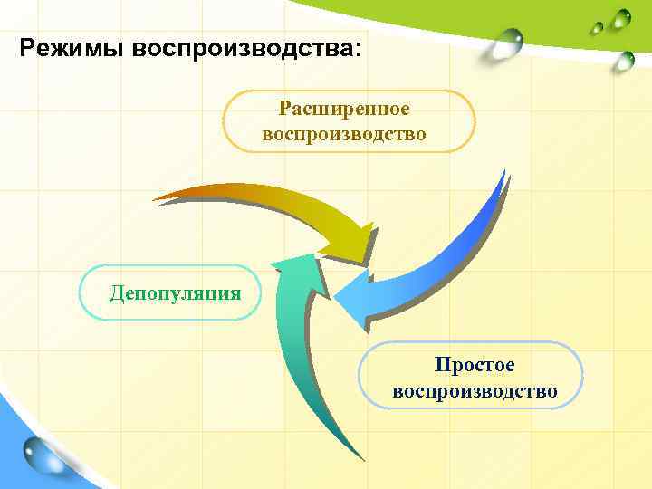 Режимы воспроизводства: Расширенное воспроизводство Депопуляция Простое воспроизводство 