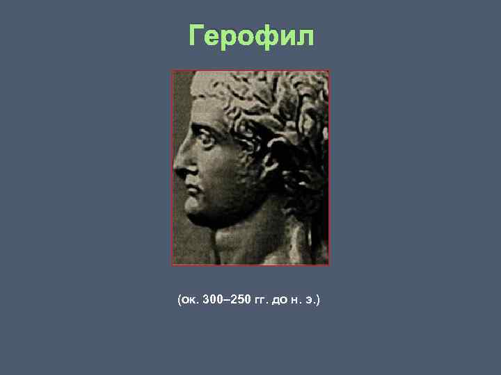 Герофил (ок. 300– 250 гг. до н. э. ) 