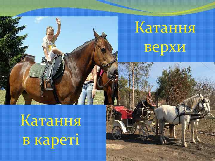 Катання верхи Катання в кареті 