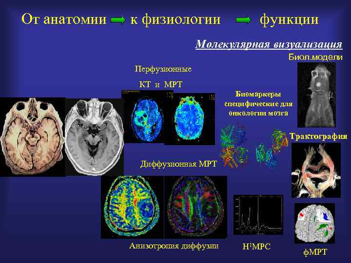 От анатомии к физиологии функции Молекулярная визуализация Биол. модели Перфузионные КТ и МРТ Биомаркеры