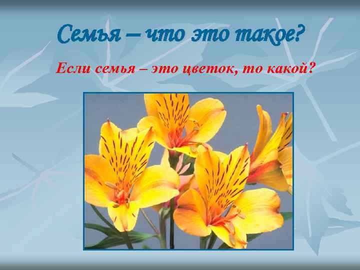 Семья – что это такое? Если семья – это цветок, то какой? 