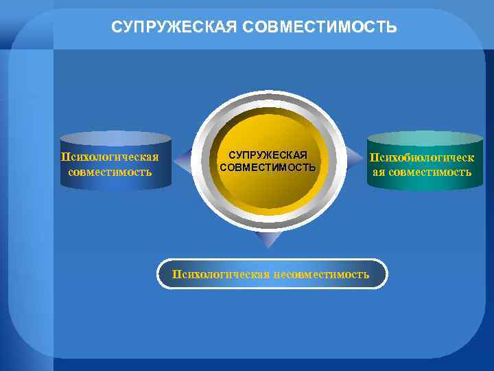 СУПРУЖЕСКАЯ СОВМЕСТИМОСТЬ Психологическая совместимость СУПРУЖЕСКАЯ СОВМЕСТИМОСТЬ Психологическая несовместимость Психобиологическ ая совместимость 