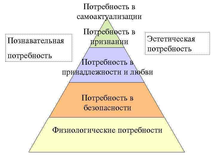 К духовным потребностям относятся потребности в самоактуализации. Потребность в самоактуализации. Потребность к самоактуализации у Маслоу. Физиологические потребности безопасность. Эстетические потребности.