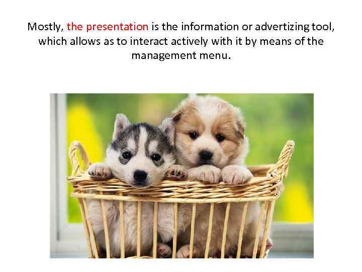 Mostly, the presentation is the information or advertizing tool, which allows as to interact