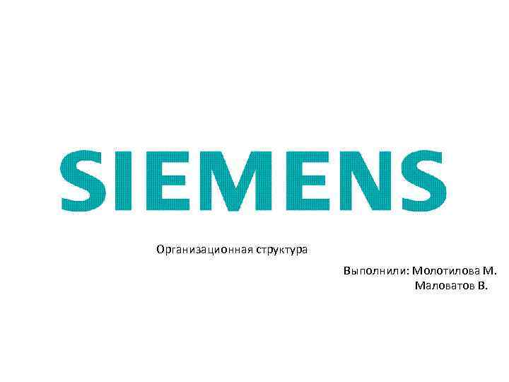 Организационная структура Выполнили: Молотилова М. Маловатов В. 