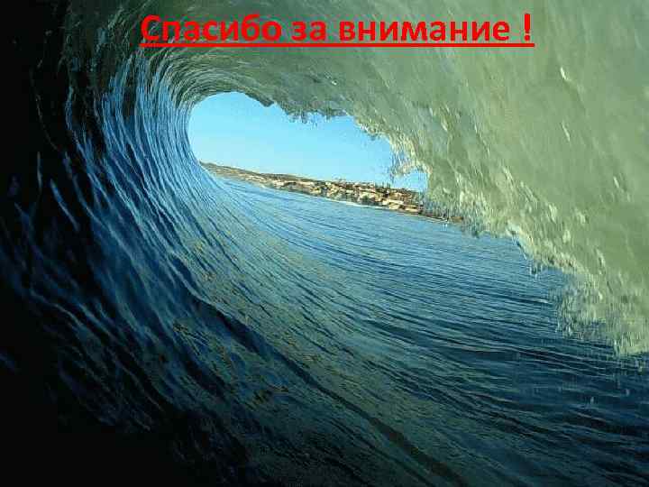  Спасибо за внимание ! 