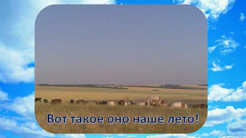 Вот такое оно наше лето! 