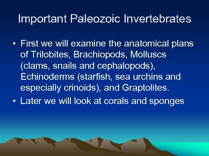 Important Paleozoic Invertebrates • First we will examine the anatomical plans of Trilobites, Brachiopods,