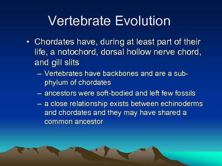 Vertebrate Evolution • Chordates have, during at least part of their life, a notochord,