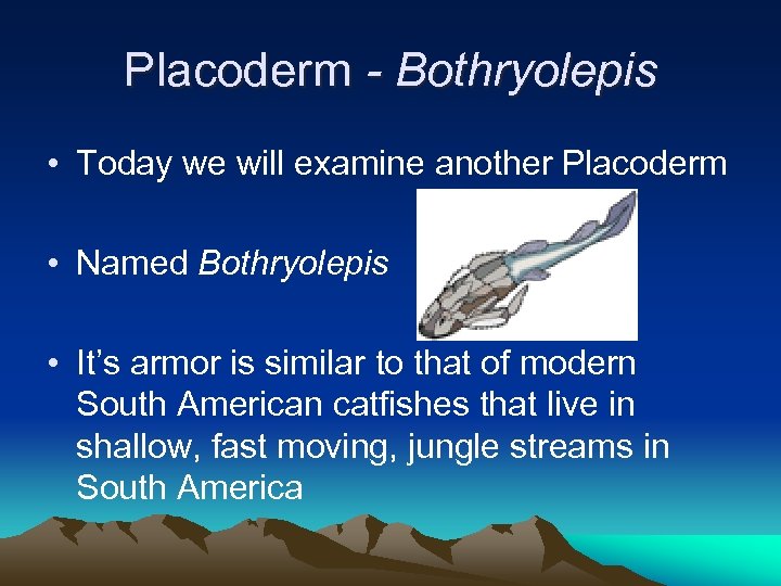 Placoderm - Bothryolepis • Today we will examine another Placoderm • Named Bothryolepis •