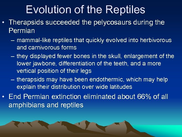 Evolution of the Reptiles • Therapsids succeeded the pelycosaurs during the Permian – mammal-like