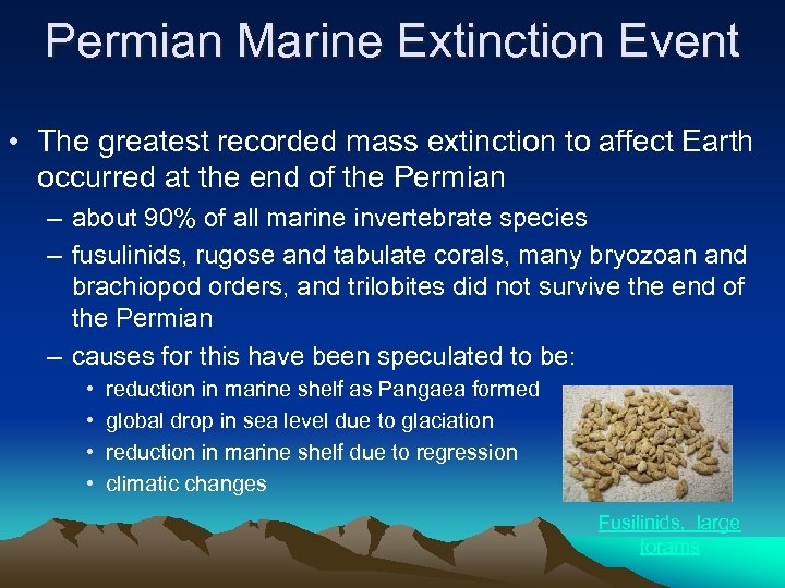 Permian Marine Extinction Event • The greatest recorded mass extinction to affect Earth occurred