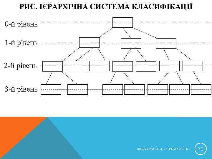 РИС. ІЄРАРХІЧНА СИСТЕМА КЛАСИФІКАЦІЇ 0 -й рівень 1 -й рівень 2 -й рівень 3