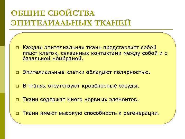 ОБЩИЕ СВОЙСТВА ЭПИТЕЛИАЛЬНЫХ ТКАНЕЙ p Каждая эпителиальная ткань представляет собой пласт клеток, связанных контактами