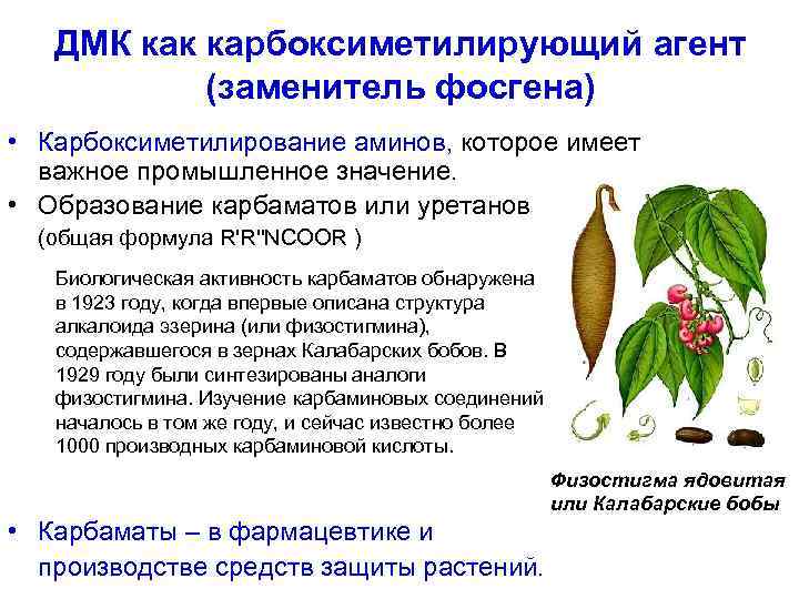 ДМК как карбоксиметилирующий агент (заменитель фосгена) • Карбоксиметилирование аминов, которое имеет важное промышленное значение.