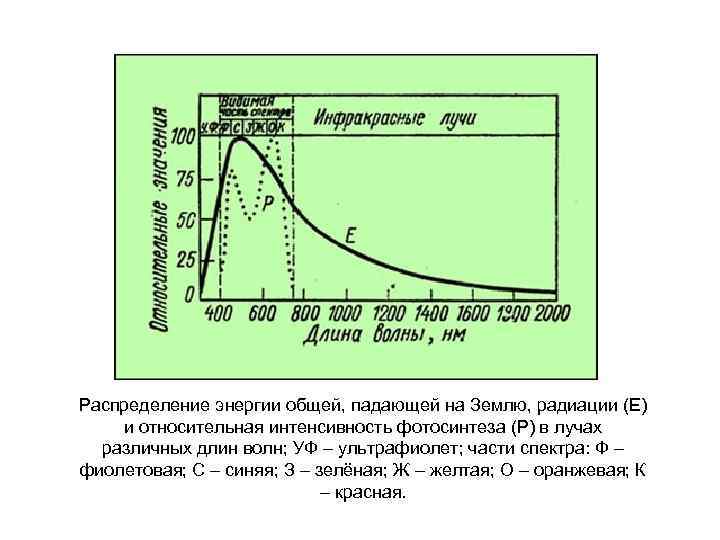 Распределение энергии общей, падающей на Землю, радиации (Е) и относительная интенсивность фотосинтеза (Р) в