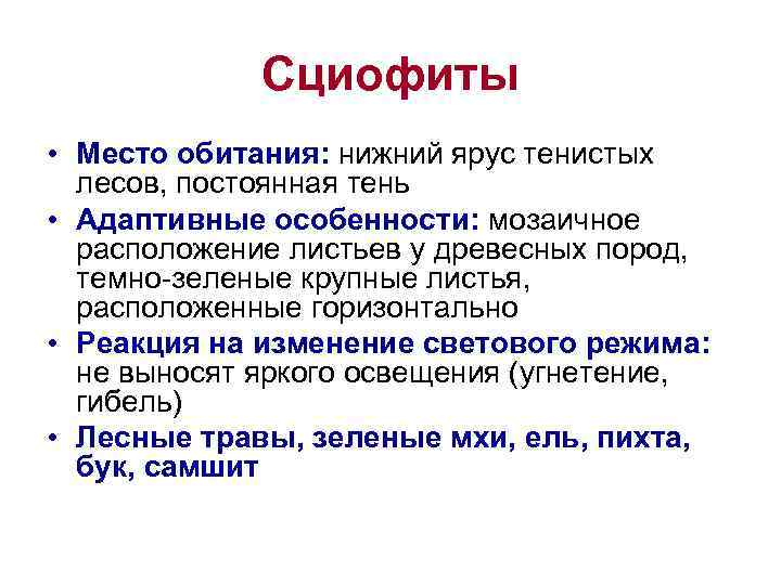 Сциофиты • Место обитания: нижний ярус тенистых лесов, постоянная тень • Адаптивные особенности: мозаичное