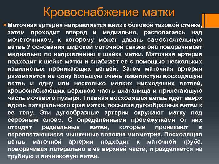 Кровоснабжение матки презентация