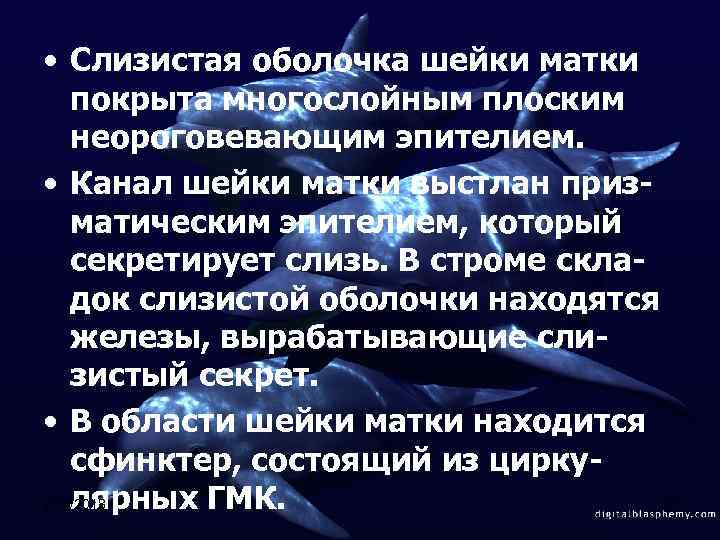  • Слизистая оболочка шейки матки покрыта многослойным плоским неороговевающим эпителием. • Канал шейки