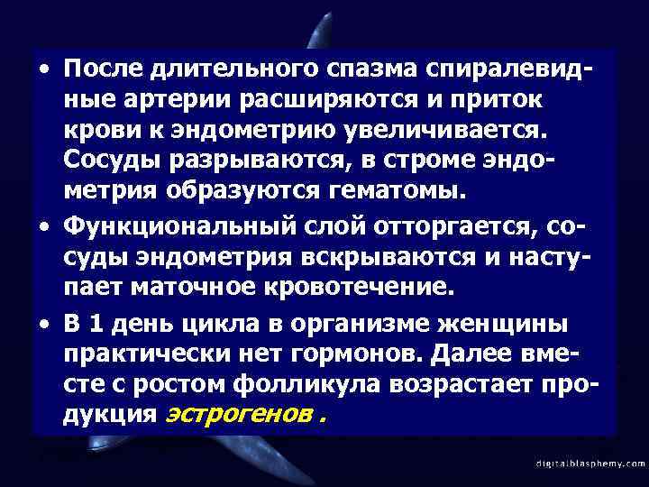  • После длительного спазма спиралевидные артерии расширяются и приток крови к эндометрию увеличивается.
