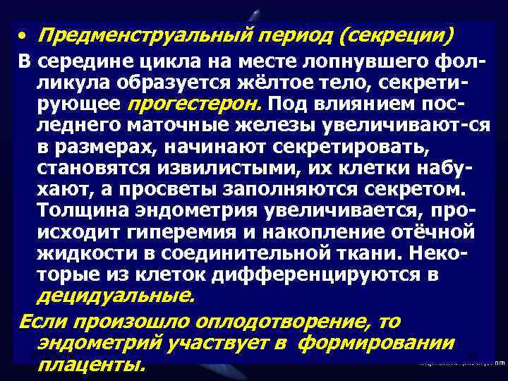  • Предменструальный период (секреции) В середине цикла на месте лопнувшего фолликула образуется жёлтое