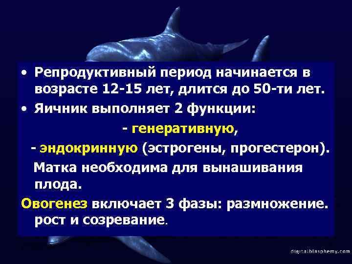 Репродуктивный период. Характеристика репродуктивного периода. Длительность репродуктивного периода. Продолжительность репродуктивного периода женщины. Репродуктивный период развития человека.