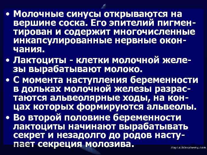  • Молочные синусы открываются на вершине соска. Его эпителий пигментирован и содержит многочисленные