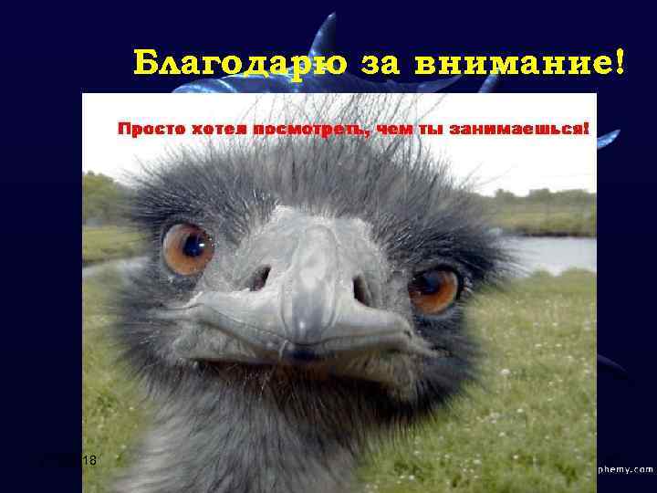 Благодарю за внимание! 2/12/2018 45 