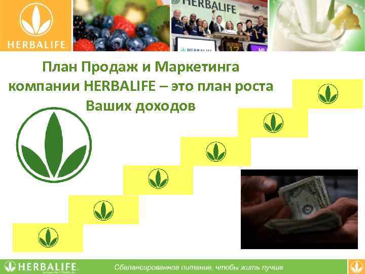 Herbalife маркетинг план