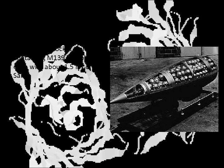 Delivery (cont. ) Honest John rocket warhead containing M 139 bomblets, each with about