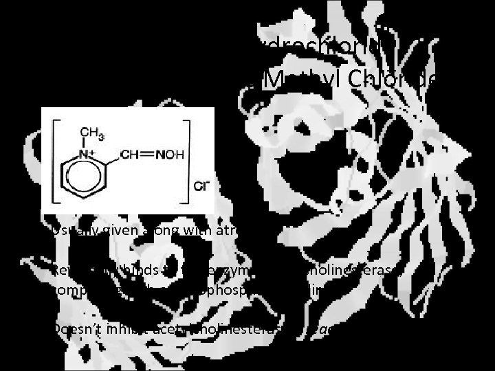 Pralidoxime Hydrochloride (Pyridine Aldoxime Methyl Chloride) Usually given along with atropine Reversibly binds to
