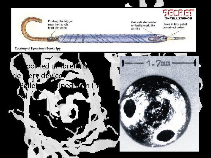  • Modified umbrella used as delivery device • Pellet contained ricin (note size)