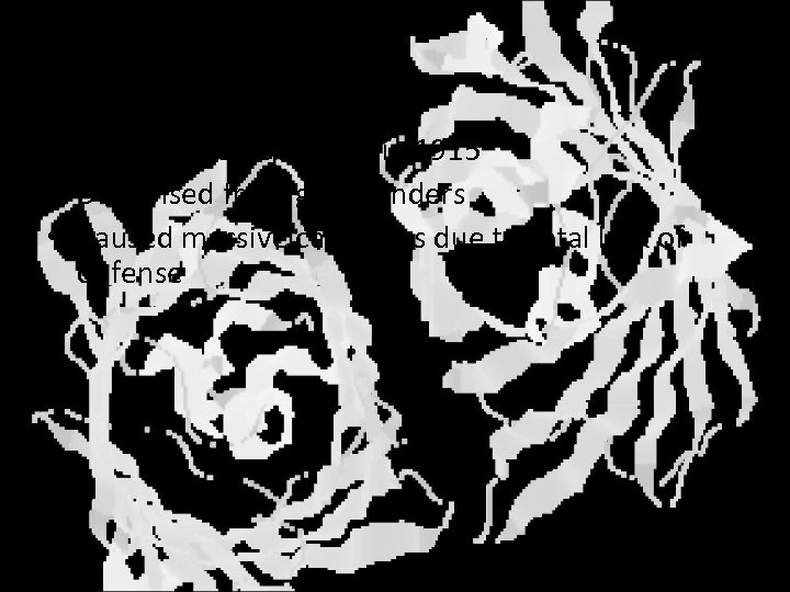 Chlorine • • Thick greenish vapor First used by Germans in 1915 Dispensed from