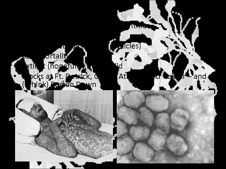 Smallpox • • • Russians produced in large quantities Infects only humans Highly infectious